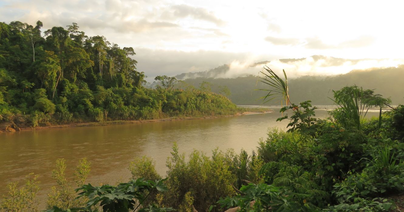 a floresta amazônica na bolívia