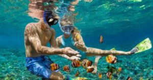 snorkelers swimming with tropical fish in the bahamas