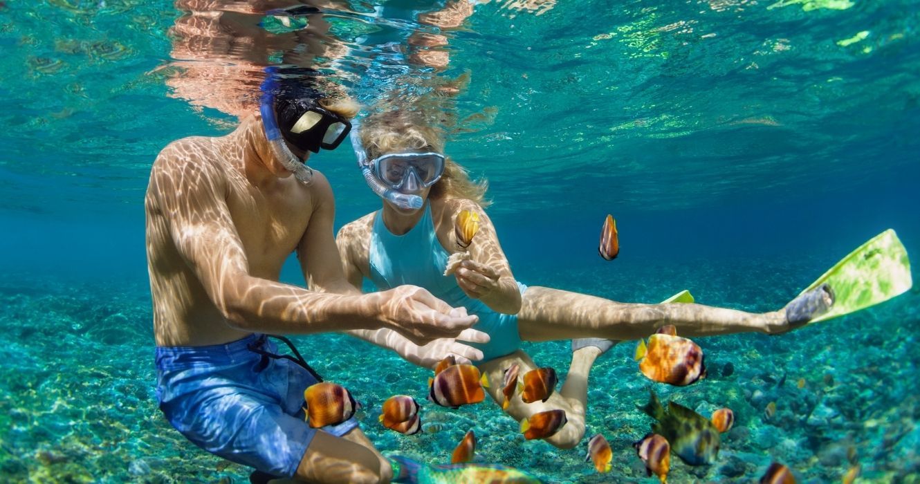 mergulhadores nadando com peixes tropicais nas bahamas