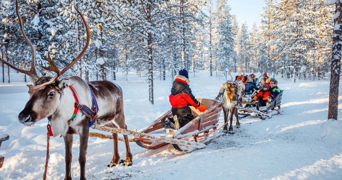 um trenó de renas na lapônia, finlândia