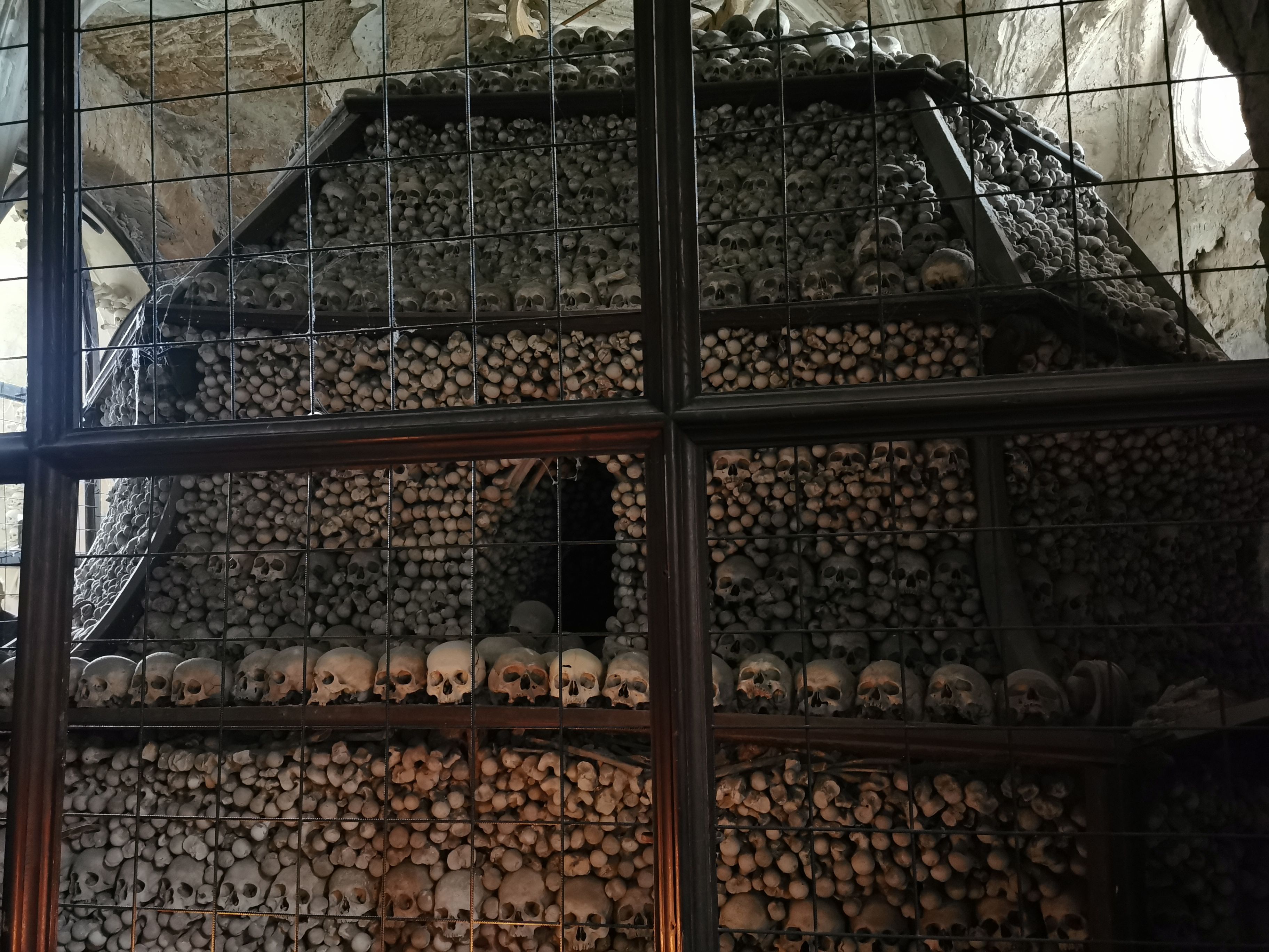 Esqueletos no Ossuário Seldec