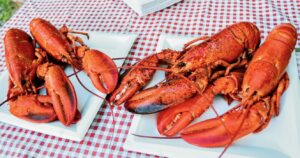 steamed lobsters in new brunswick