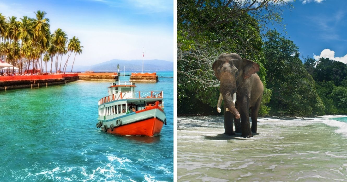 ilhas andaman e nicobar, um elefante na ilha andaman
