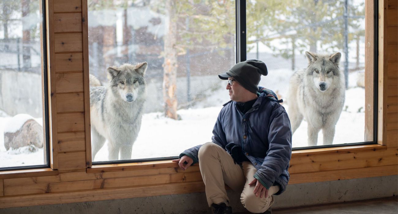 homem posando ao lado de um lobo no Grizzly and Wolf Discovery Center