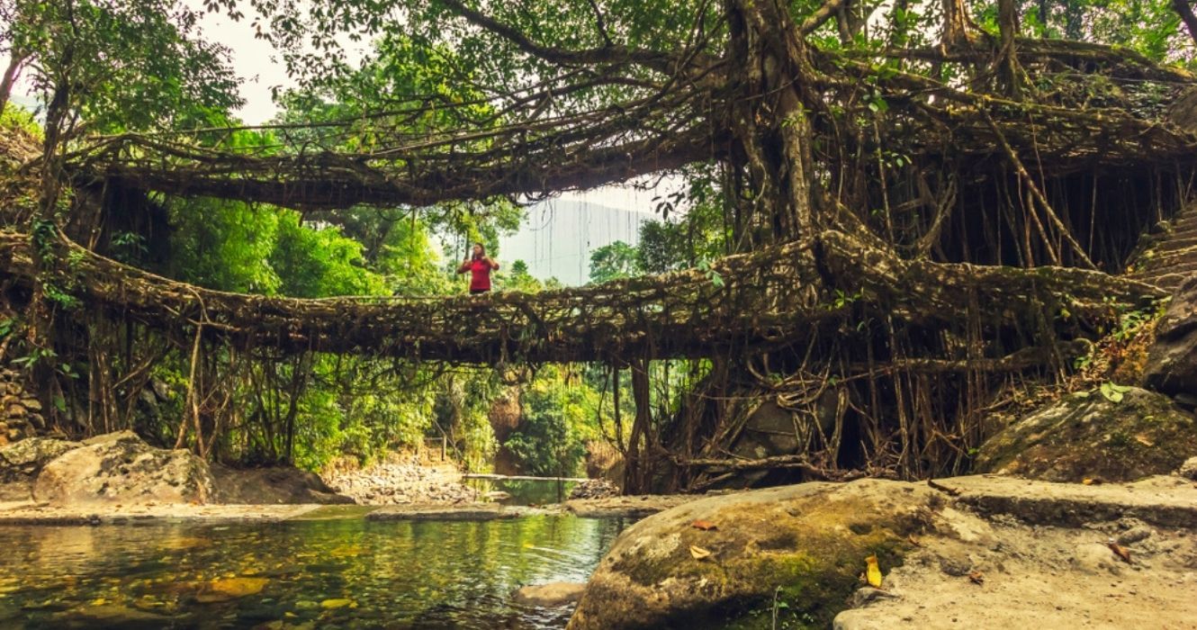 alguém em pé sobre uma ponte viva na Índia
