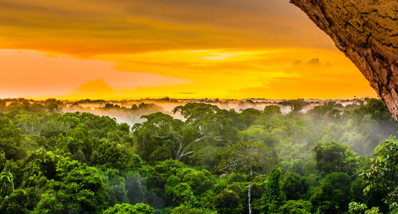 Pôr do sol sobre a floresta amazônica