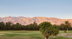 Palm trees at sunset in Furnace Creek Death Valley