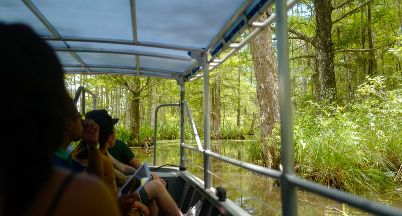 Vista do barco no passeio Honey Island Swamp