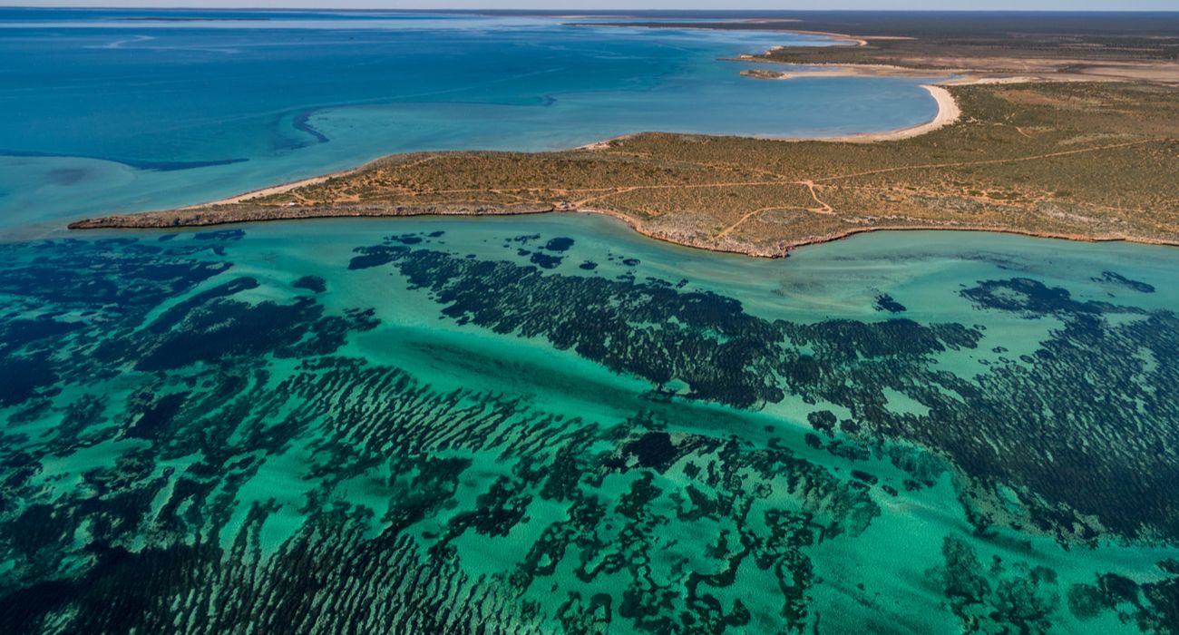 Vista aérea de Shark Bay e Seagrass