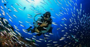 Scuba diving with fish