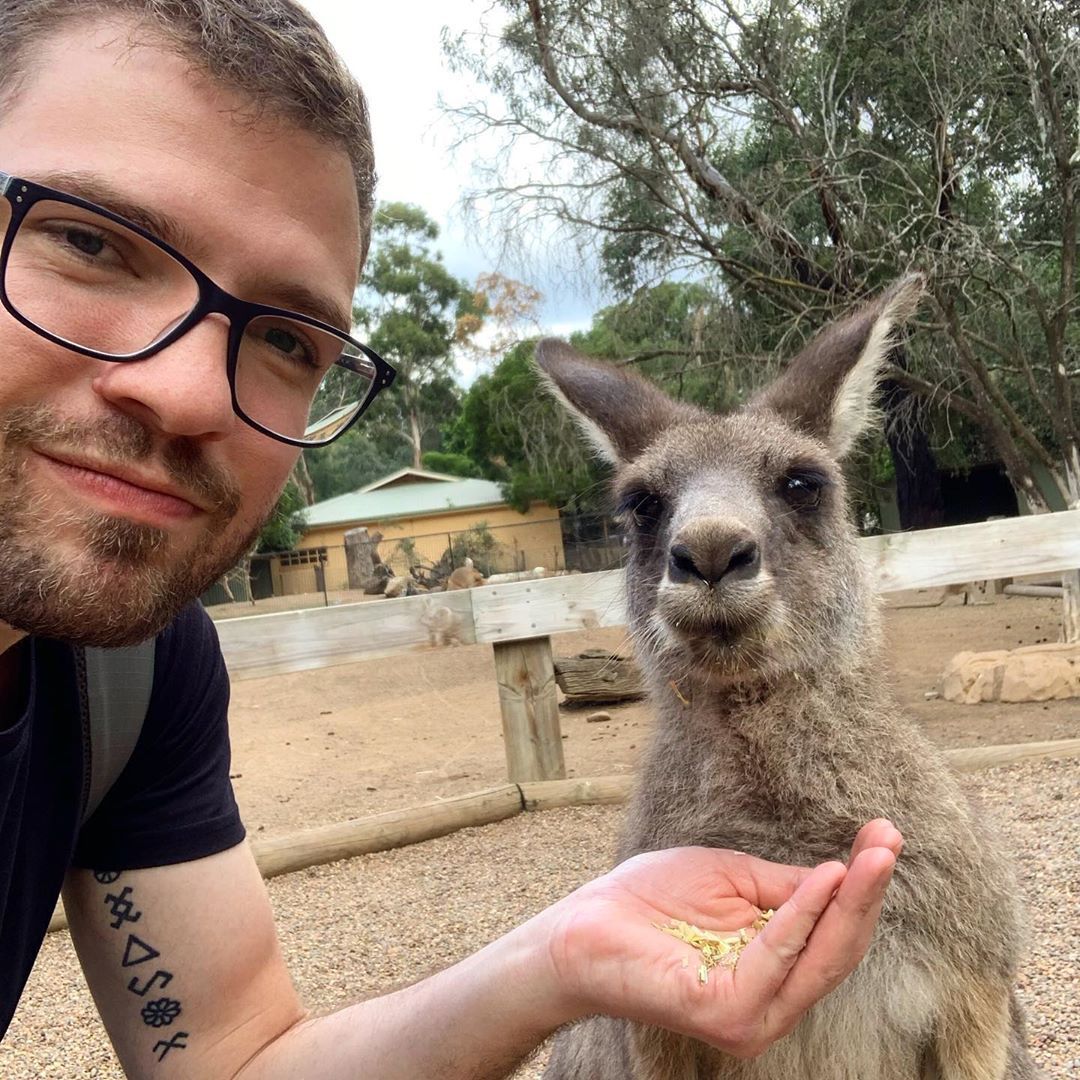 Homem alimentando canguru na Austrália
