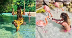 a girl swings on a tree swing in jamaica, a girl feeds a flamingo on the beach in aruba