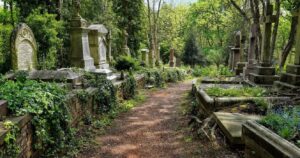 an overgrown pathway through highgate cemetery in london