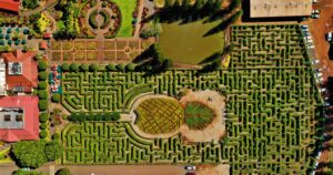 an aerial view of the pineapple garden maze at the dole plantation