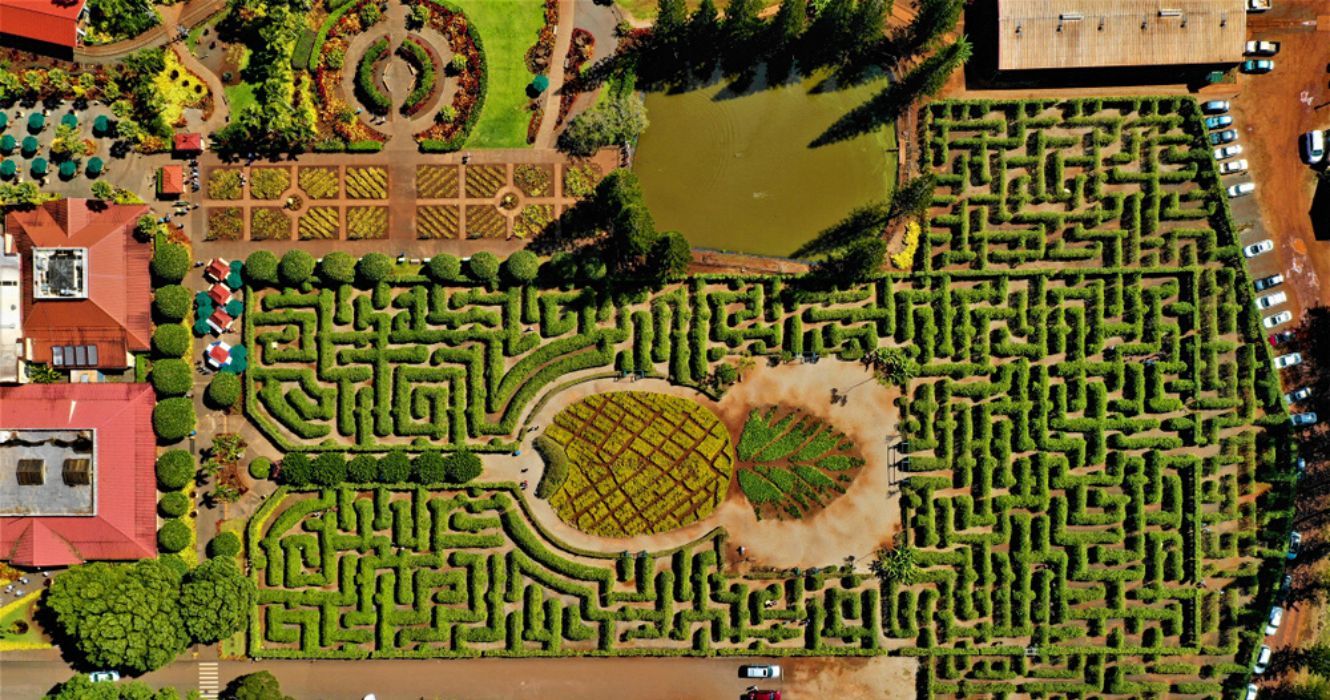 uma vista aérea do labirinto de jardim de abacaxi na plantação de desempregados