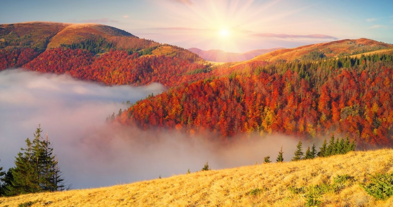 folhagem de outono nas montanhas esfumaçadas enquanto o sol nasce