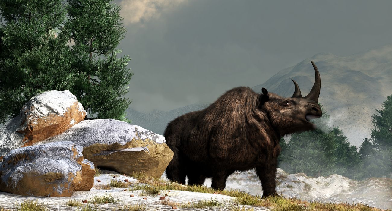 Rinoceronte Lanoso na Época do Pleistoceno
