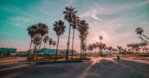 palm trees at sunrise in venice beach, california