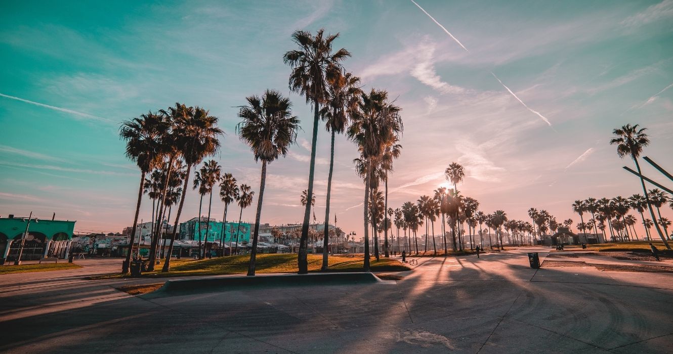 palmeiras ao nascer do sol em venice beach, califórnia